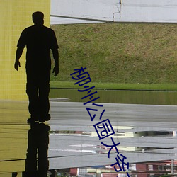 柳州(州)公园(園)大(大)爷大妈(媽)开战