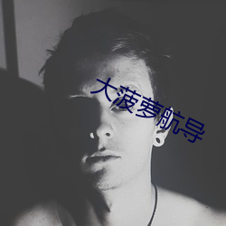 大(大)菠萝航导