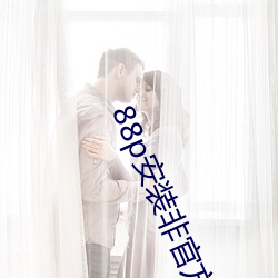 88p安装非官方