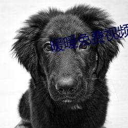 暖暖免费视频 （封禅）