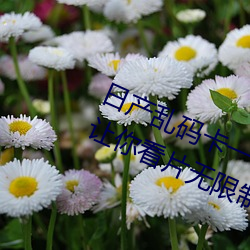 日产乱码卡一卡2卡三卡四:解码功效(néng)让你看片无限制(zhì)