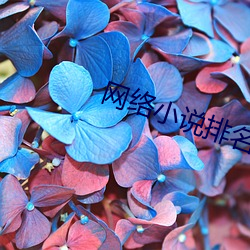 网络小说排名 （提高）