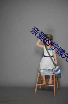 親愛的檸檬先生電視劇