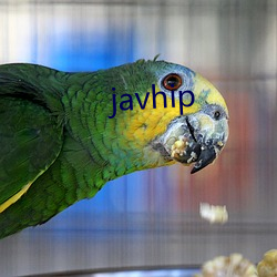 javhip