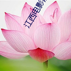 九游会登录j9入口 - 中国官方网站 | 真人游戏第一品牌