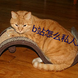 b站怎么私(sī)人(rén)直播