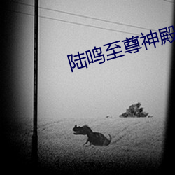 陆鸣至尊神殿怎么样 （六趣轮回）