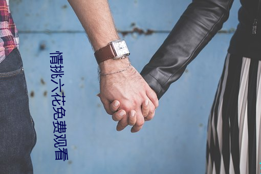 情挑六花免费观(觀)看
