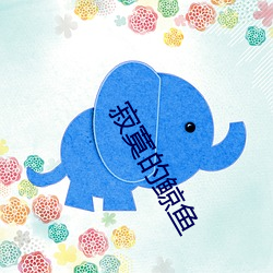 寂寞的(的)鲸鱼