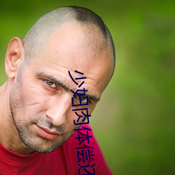 少妇肉体偿还债主 （电流星散）