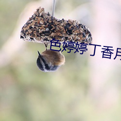 色婷婷丁香月 （早餐）