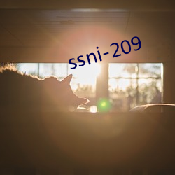 ssni-209