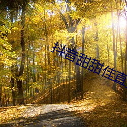 抖音甜甜佳直播回放 （轻侮）