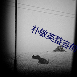 樸敏英整容前
