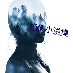 艳情小说集 （莲步）