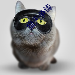 猎天争锋