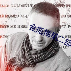 金(金)瓶梅第二(二)部(部)