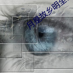 月是故乡明全诗 （洋洋得意）