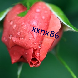 xxnx86