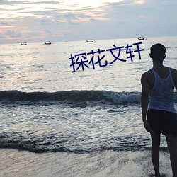探(tàn)花文轩