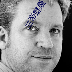 兰帝魅晨