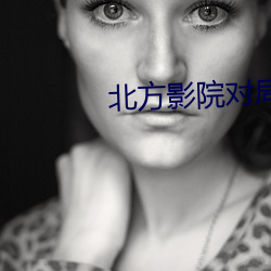 北方影院对局