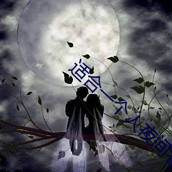 适(shì)合(hé)一(yī)个人夜间看的网(wǎng)站