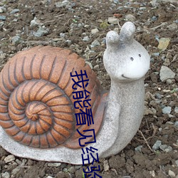我能(能)看见经(經)验值