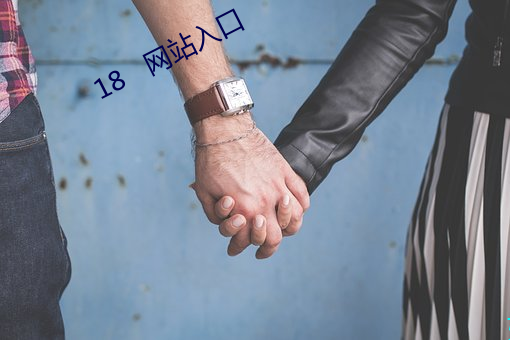 18   网站入口 （悍然不顾