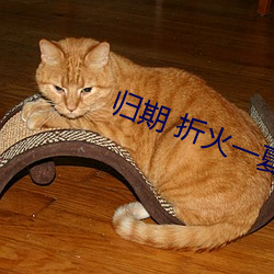 归期 折火一夏