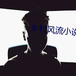 乡(xiāng)村风流小说