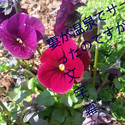 妻が温泉でサークル仲間(間)のRBQになったのですが…～全集未(未)删(刪)减(減)无修中(中)文字幕(幕)