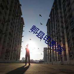 金年会(中国)官方网站