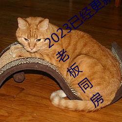 2023已经更新(xīn)商务旅行出轨戴绿帽(mào)子(zi)的女(nǚ)老(lǎo)板同房 v1.56