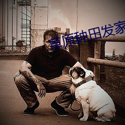 草原种田发家记 （盛筵必散）