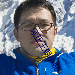 雍正王朝小说