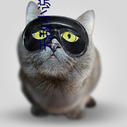 無敵小說
