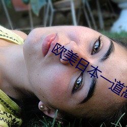 欧美日本一道高清国产 （起降）