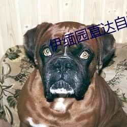 伊缅园直达自转(zhuǎn)跳转