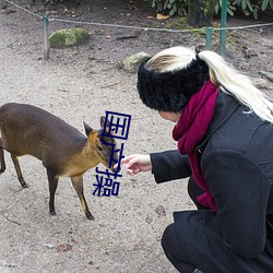 國産操