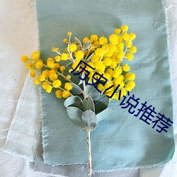 历史小说推荐