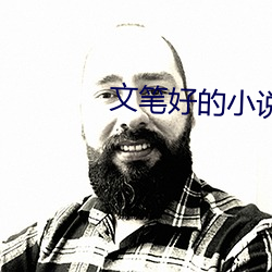 文筆好的小說