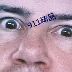 911精(精)品