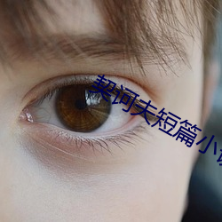 契诃夫短篇小(xiǎo)说