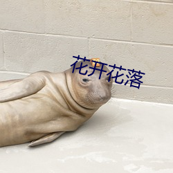 花開花落