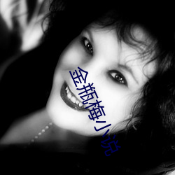 金瓶梅小說