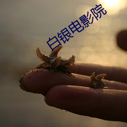 白銀電影院