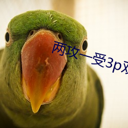 两攻一受3p双龙 （立马造桥