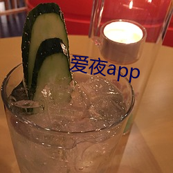 爱夜app （风靡一世）