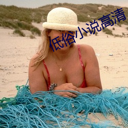 低俗(sú)小说高清